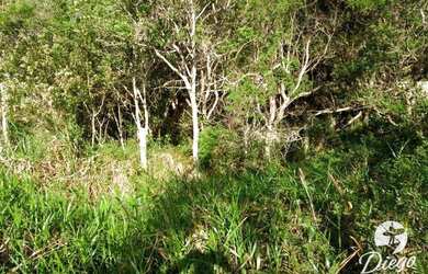 Imagem: O terreno possui 2.973m² de Área e está localizado em Ibiraquera