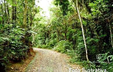 Imagem 1: Terreno à venda, 520 m² por R$ 210.000,00 - Paysage Noble - Vargem Grande...