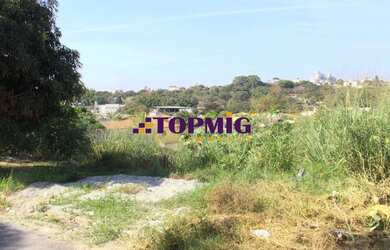 Imagem 7: BETIM - Terreno Padrão - Ingá