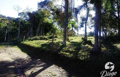 Imagem 7: Terreno à venda, 530 m² por R$ 280.000,00 - Siriú - Garopaba/SC