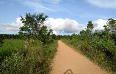 Imagem: A fazenda possui 750.000m² de Área e está localizado em