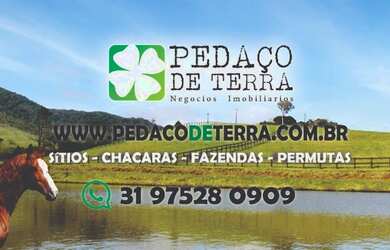 Imagem 14: Terreno 107 Hectares em São Tiago Ótimo Preço