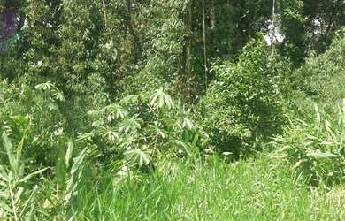 Imagem 5: Bom terreno de esquina medindo 12.80 x 24 total 307,20 m2 em Itapoá na...