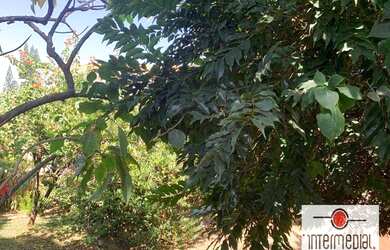 Imagem 3: Terreno à venda, 326 m² por R$ 550.000,00 - Centro - Boituva/SP