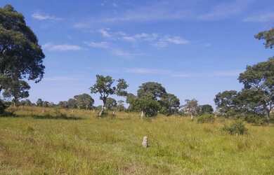 Imagem 1: Fazenda região de poconé
