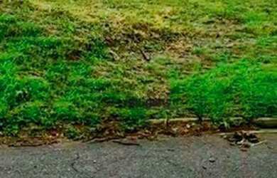 Imagem 2: Terreno à venda, 800 m² por R$ 550.000,00 - Condomínio Campos de Santo Antônio - Itu/SP