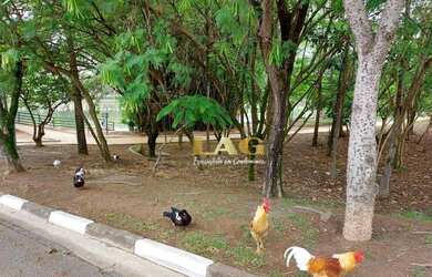 Imagem 14: Terreno à venda, 360 m² por R$ 380.000,00 - Condomínio Ibiti do Paço...