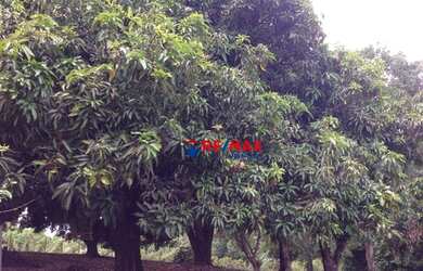 Imagem 13: Sítio à venda, 1351 m² por R$ 6.575.000,00 - Rural - Itupeva/SP