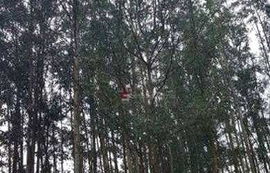 Imagem 8: Sítio à venda, 28000 m² por R$ 490.000,00 - Pau D alho - Itu/SP