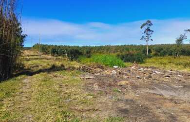 Imagem: A fazenda está localizado em Passo de Torres, SC à venda por