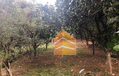 Imagem 10: Terreno à venda, 1038 m² por R$ 380.000,00 - Barnabé - Gravataí/RS