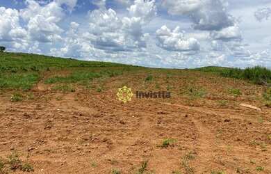 Imagem 14: Fazenda 2.420 Hectares no Vale do Araguaia - Tocantins