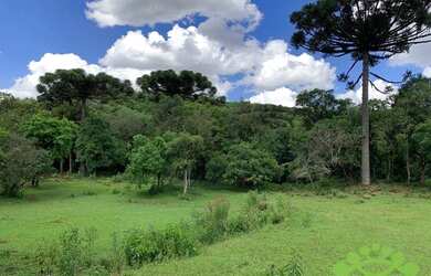 Imagem 6: Terreno à venda, 134645 m² por R$ 12.000.000,00 - Tanguá - Almirante...