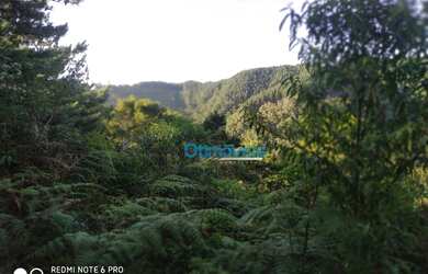 Imagem 6: Área à venda, 605000 m² por R$ 450.000,00 - Zona Rural - Itaperuçu/PR