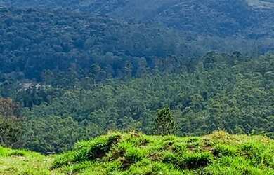 Imagem 15: Lote/Terreno para venda com 1000 metros quadrados em Jardim Recreio -...