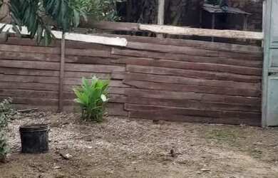 Imagem 6: Casa JK2. 1 Dormitório