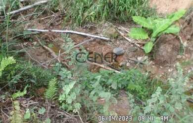 Imagem 9: 2449 - Ótima Fazendinha de 32 HA, limpa formada, em ótimo local com...