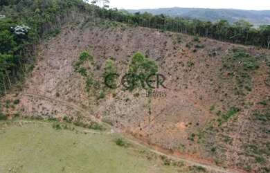 Imagem 5: 2449 - Ótima Fazendinha de 32 HA, limpa formada, em ótimo local com...