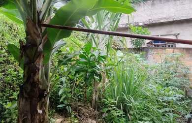 Imagem 14: Casa em Maria Paula. Ar-condicionado, 300m² de Área, 1 Vaga na garageme2...