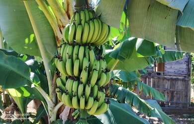 Imagem 4: Chácara espetacular para venda, escriturada e registrada