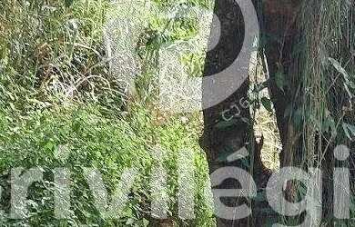 Imagem 13: Terreno à venda, Freguesia Jacarepaguá - RIO DE JANEIRO/RJ