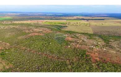 Imagem 6: Terra à venda 30 Hectares Região da Jesualda Paracatu/Unaí MG