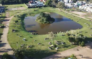 Imagem 11: Casa térrea no complexo lagos de Nova Ipanema,87 m², 3 d - 1 suíte,...