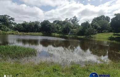 Imagem: Chácara à venda em Matrinchã, Goiás 15 Alqueires