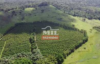 Imagem: A fazenda possui 3533200m² de Área e está localizado em Jardim