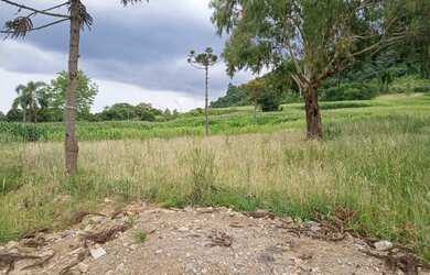 Imagem: A chácara possui 40.000m² de Área, Imóvel novo e está