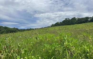 Imagem: Lote Residencial em Ibiúna Cercado pela Natureza