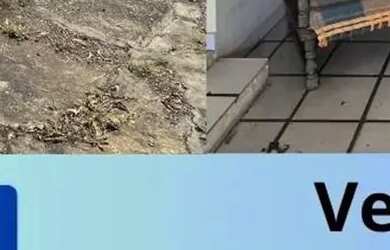 Imagem: A casa possui 5 Dormitórios, 5 Banheiros, 1 Vaga na garagem