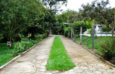 Imagem: A fazenda está localizado em Serrinha, BA à venda por R$480.000