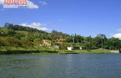 Imagem 12: Área à venda, 21800 m² por R$ 6.000.000,00 - Freguesia da Escada -...