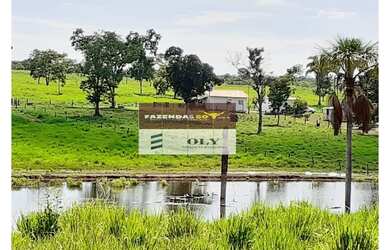 Imagem: A fazenda está localizado em São Miguel do Araguaia, GO à