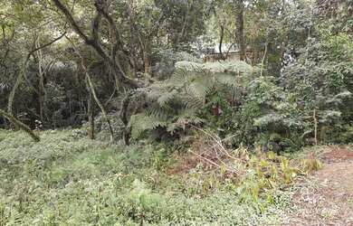 Imagem 6: Terreno à venda, 420 m² por R$ 350.000,00 - GRANJA VIANA RECANTO INPLA - Carapicuíba/SP