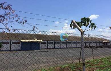 Imagem 5: Galpão industrial para locação, Adelino Simioni, Ribeirão Preto