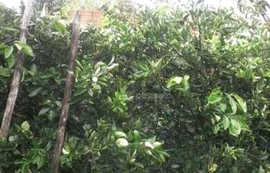 Imagem 4: Terreno à venda, 400 m² por R$ 110.000,00 - Jardim do Cedro - Gravataí/RS