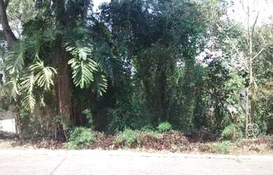 Imagem 3: Terreno à venda, 1000 m² por R$ 250.000,00 - Forest Hills - Jandira/SP