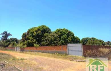 Imagem 1: Sítio, 10000 m² - venda por R$ 750.000,00 ou aluguel por R$ 3.000,00...