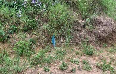 Imagem: O terreno possui 1450m² de Área e está localizado em Jardim