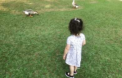 Imagem: O terreno possui 460m² de Área e está localizado em Centro