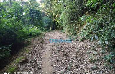 Imagem 7: Área à venda, 605000 m² por R$ 450.000,00 - Zona Rural - Itaperuçu/PR