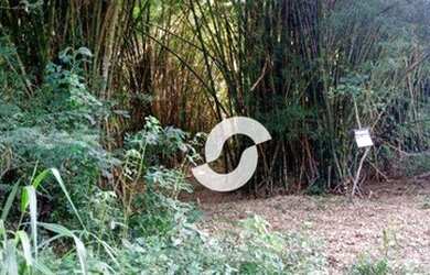 Imagem 6: Terreno à venda, 1000 m² por R$ 90.000,00 - Itaocaia Valley Itaipuaçu...