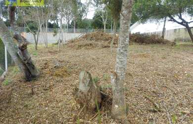 Imagem 2: Terreno à venda, 620 m² por R$ 250.000,00 - Colinas de Caucaia - Cotia/SP