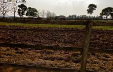 Imagem 10: Maravilhoso haras a venda, em Jaguariúna, interior de SP. Agende uma...
