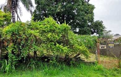 Imagem 2: Terreno à venda, 560 m² por R$ 350.000 - São Pedro - Jaguariúna/SP