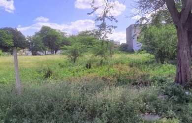 Imagem: O terreno possui 324m² de Área e está localizado em Maurício