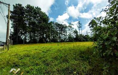 Imagem 5: Terreno à venda, 3000 m² por R$ 299.000,00 - Jardim das Garças - Santo...