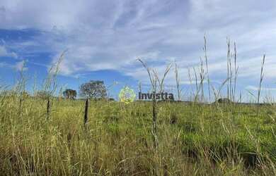 Imagem 6: Fazenda à venda, 2.463 Hectares em Aparecida do Rio Negro - TO